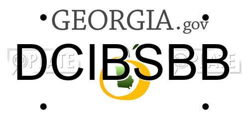 DCIBSBB Georgia License Plate