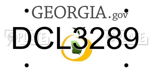 DCL3289 Georgia License Plate