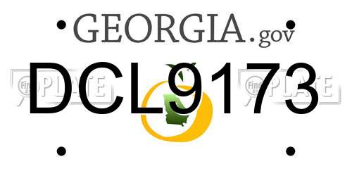 DCL9173 Georgia License Plate