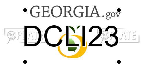 DCLI23 Georgia License Plate
