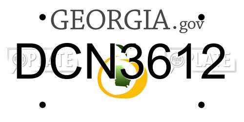 DCN3612 Georgia License Plate