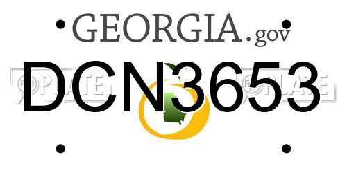 DCN3653 Georgia License Plate