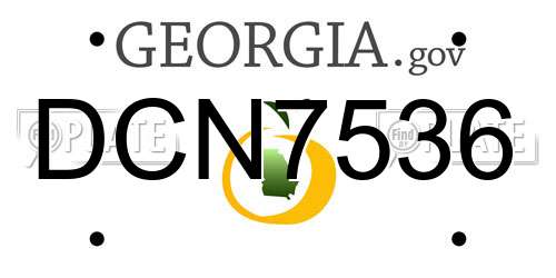 DCN7536 Georgia License Plate