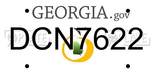 DCN7622 Georgia License Plate