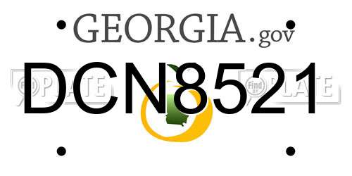 DCN8521 Georgia License Plate