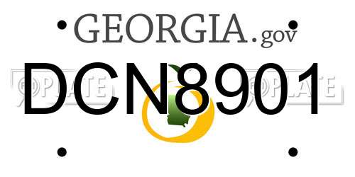 DCN8901 Georgia License Plate