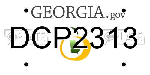 DCP2313 Georgia License Plate