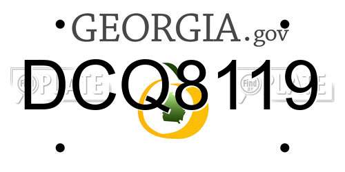 DCQ8119 Georgia License Plate