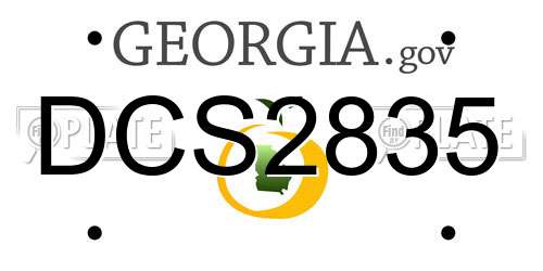 DCS2835 Georgia License Plate
