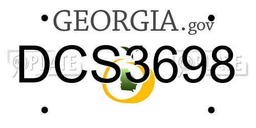 DCS3698 Georgia License Plate