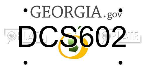 DCS602 Georgia License Plate