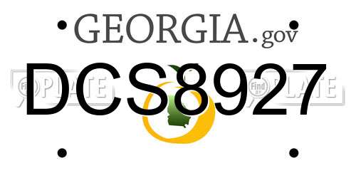 DCS8927 Georgia License Plate
