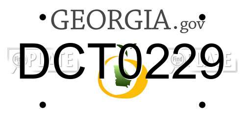 DCT0229 Georgia License Plate
