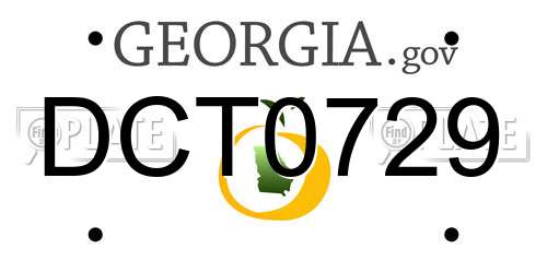 DCT0729 Georgia License Plate