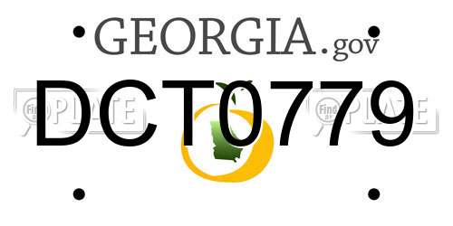 DCT0779 Georgia License Plate
