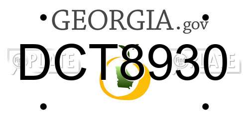 DCT8930 Georgia License Plate