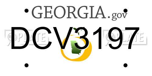 DCV3197 Georgia License Plate
