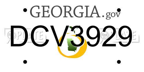 DCV3929 Georgia License Plate