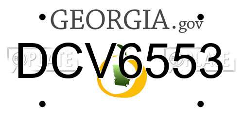 DCV6553 Georgia License Plate