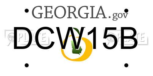 DCW15B Georgia License Plate