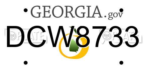 DCW8733 Georgia License Plate