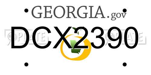 DCX2390 Georgia License Plate