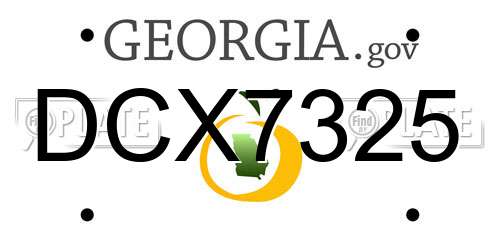 DCX7325 Georgia License Plate