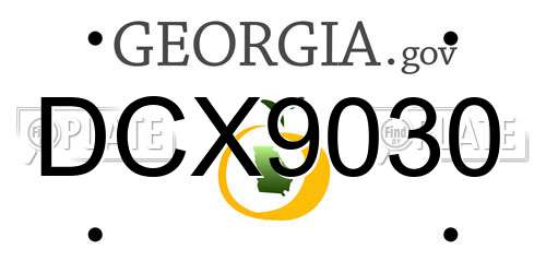 DCX9030 Georgia License Plate