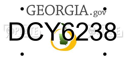 DCY6238 Georgia License Plate