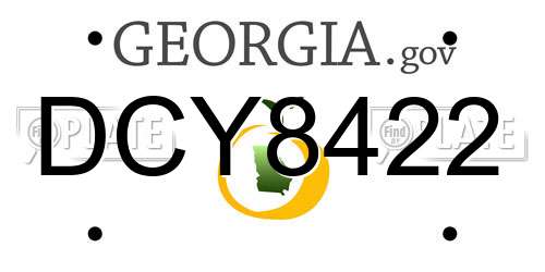 DCY8422 Georgia License Plate