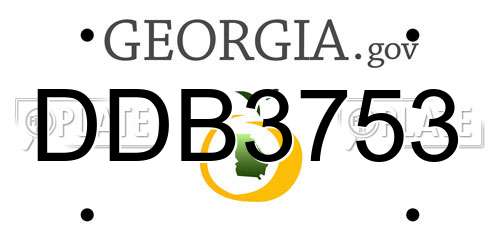 DDB3753 Georgia License Plate
