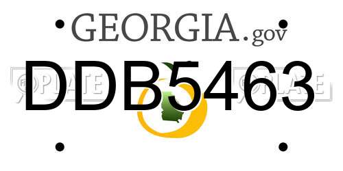 DDB5463 Georgia License Plate