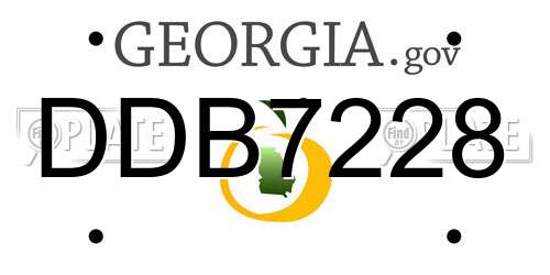 DDB7228 Georgia License Plate