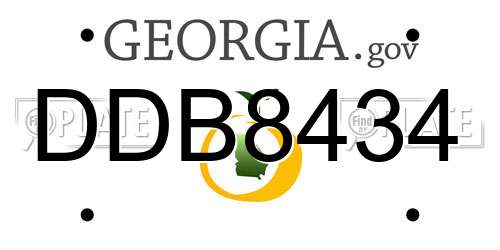 DDB8434 Georgia License Plate