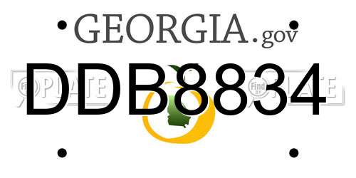DDB8834 Georgia License Plate