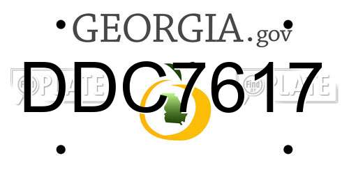 DDC7617 Georgia License Plate