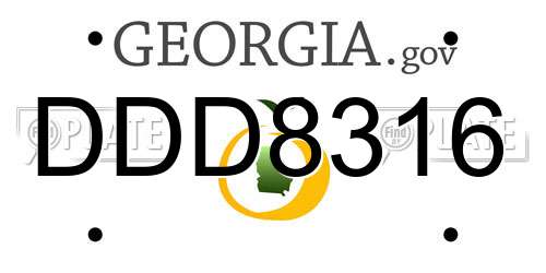 DDD8316 Georgia License Plate