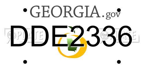 DDE2336 Georgia License Plate