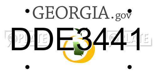 DDE3441 Georgia License Plate