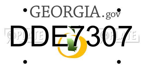 DDE7307 Georgia License Plate