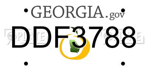 DDF3788 Georgia License Plate