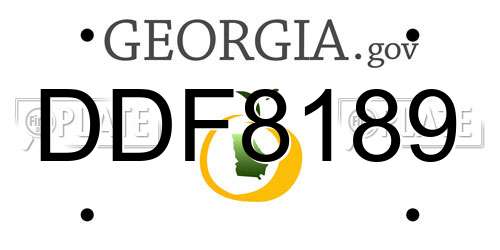 DDF8189 Georgia License Plate