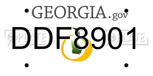 DDF8901 Georgia License Plate