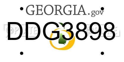 DDG3898 Georgia License Plate