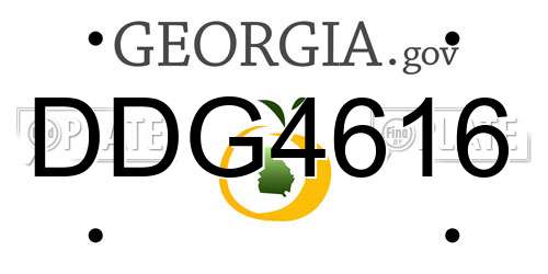 DDG4616 Georgia License Plate