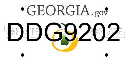 DDG9202 Georgia License Plate