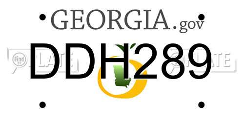 DDH289 Georgia License Plate