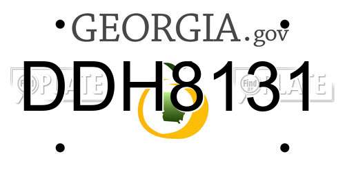 DDH8131 Georgia License Plate