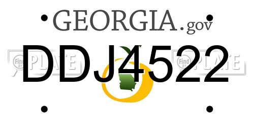 DDJ4522 Georgia License Plate