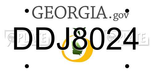DDJ8024 Georgia License Plate